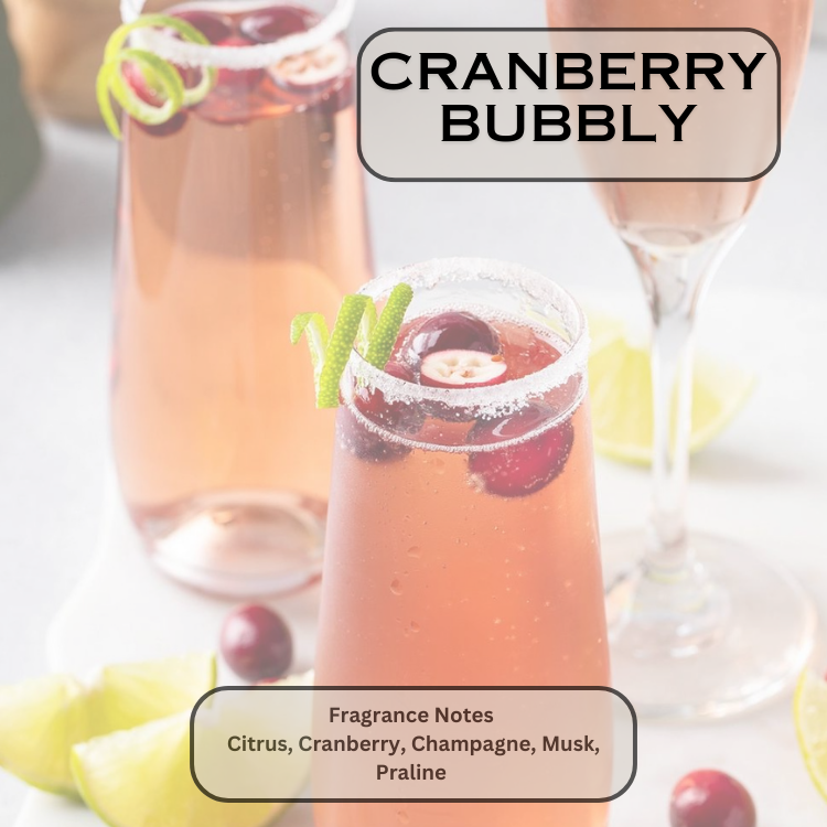 Cranberry Bubbly 10 oz. Candle