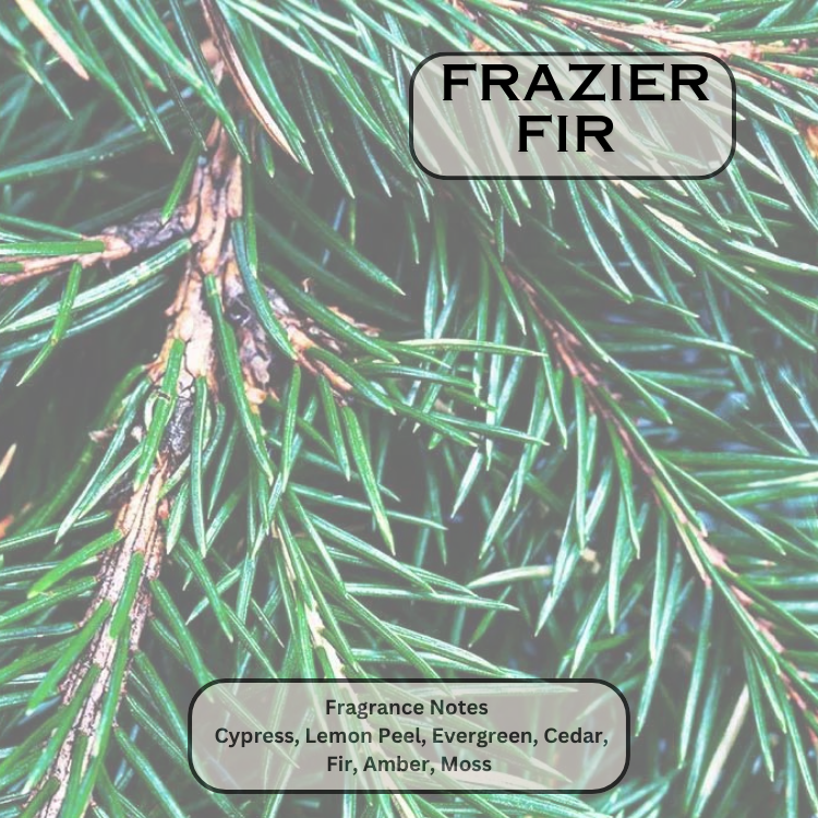 Frazier Fir 10 oz. Candle