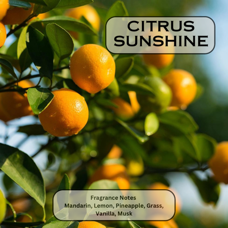 Citrus Sunshine Reed Diffuser